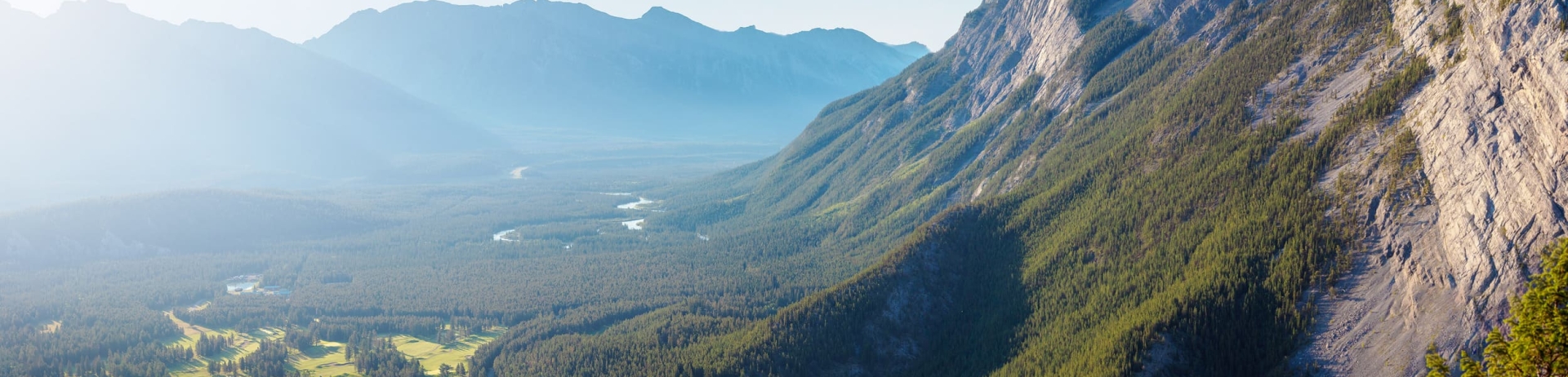 aerial shot of a golf course