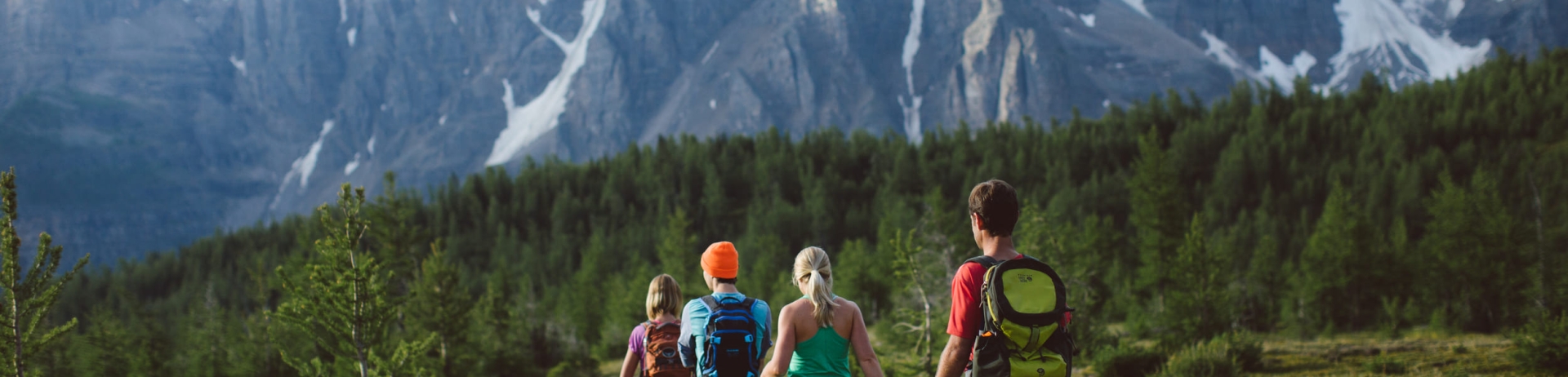 a group of friends on a hike