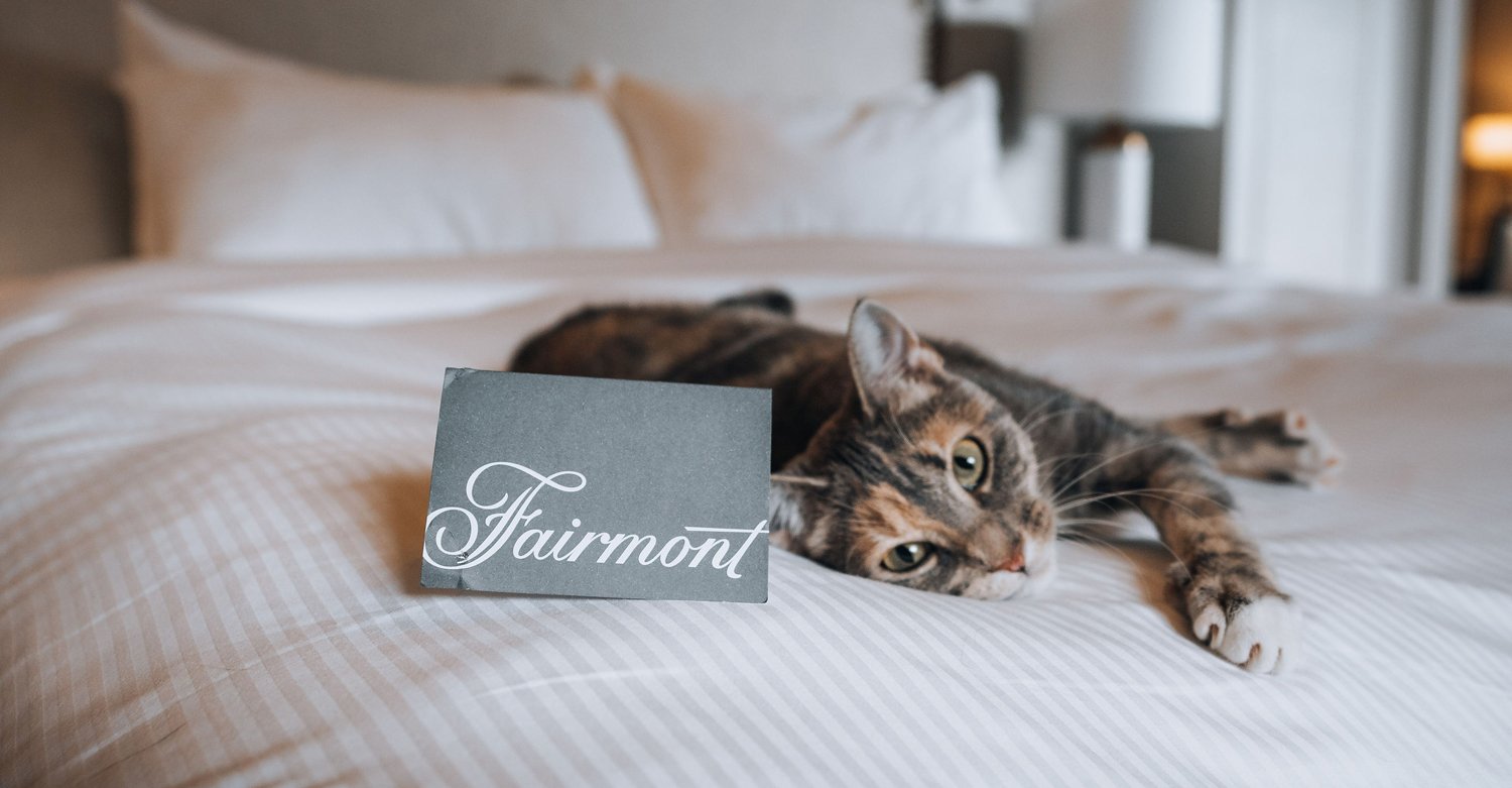 a cat laying on a bed with a fairmont card