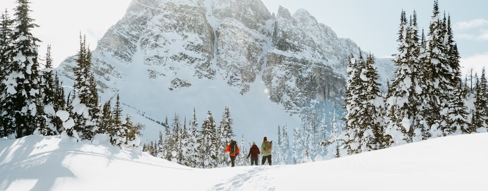 people hiking through the snow