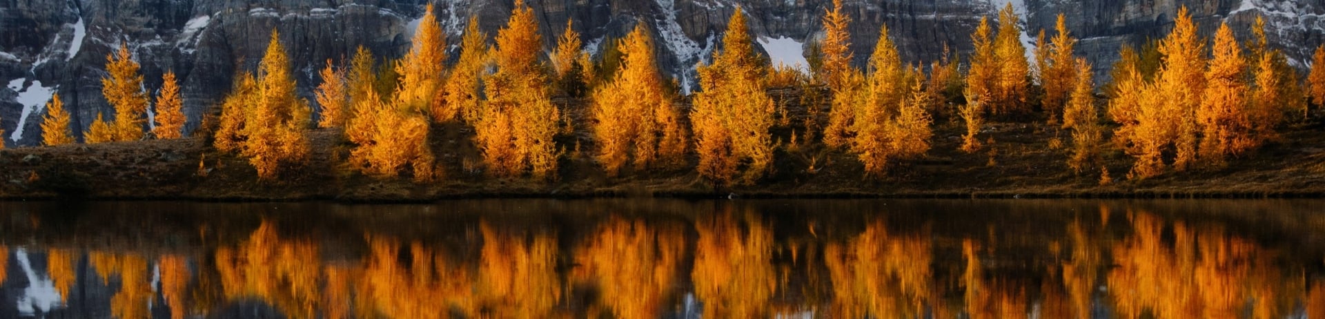 Mountain landscape with fall foliage line of trees behind a lake in Banff Springs