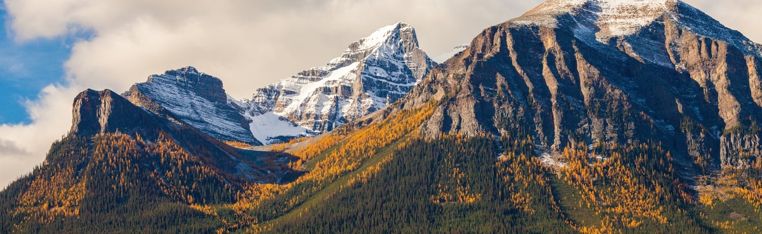 Mount Temple surrounded by yellow larch trees
