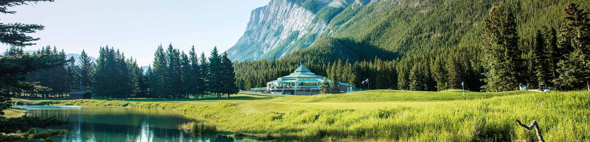 golf course golf club