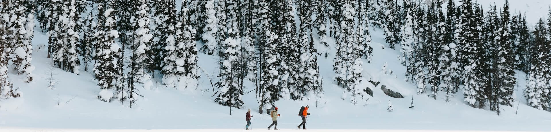 three people snowshoeing across a lake