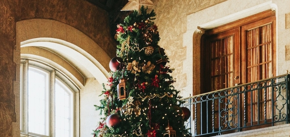large christmas tree in the lobby