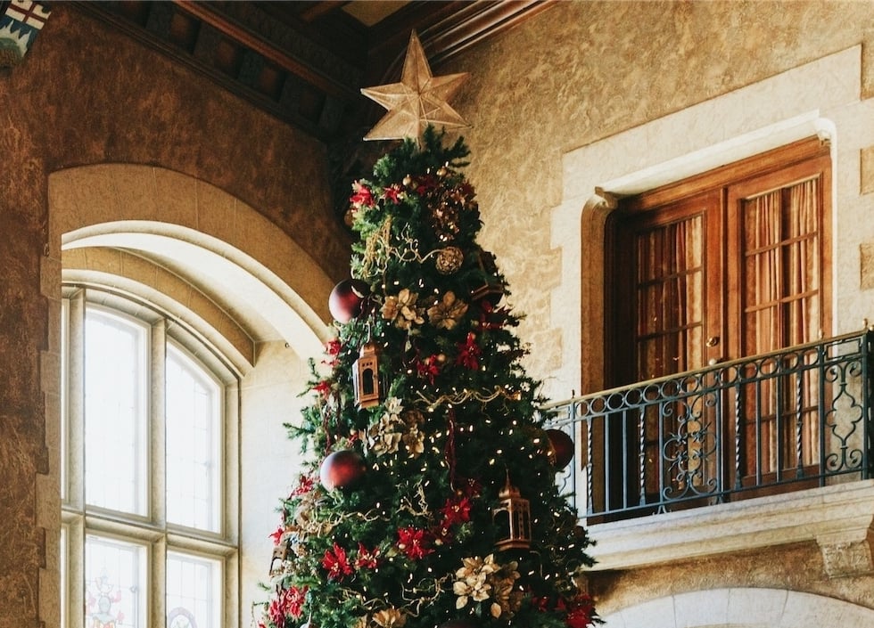 large christmas tree in the lobby