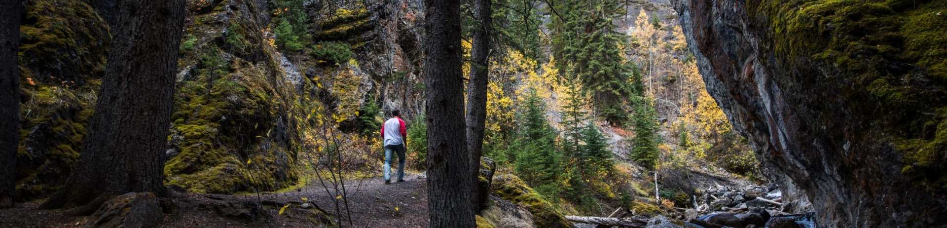 Sundance Canyon Banff National Park